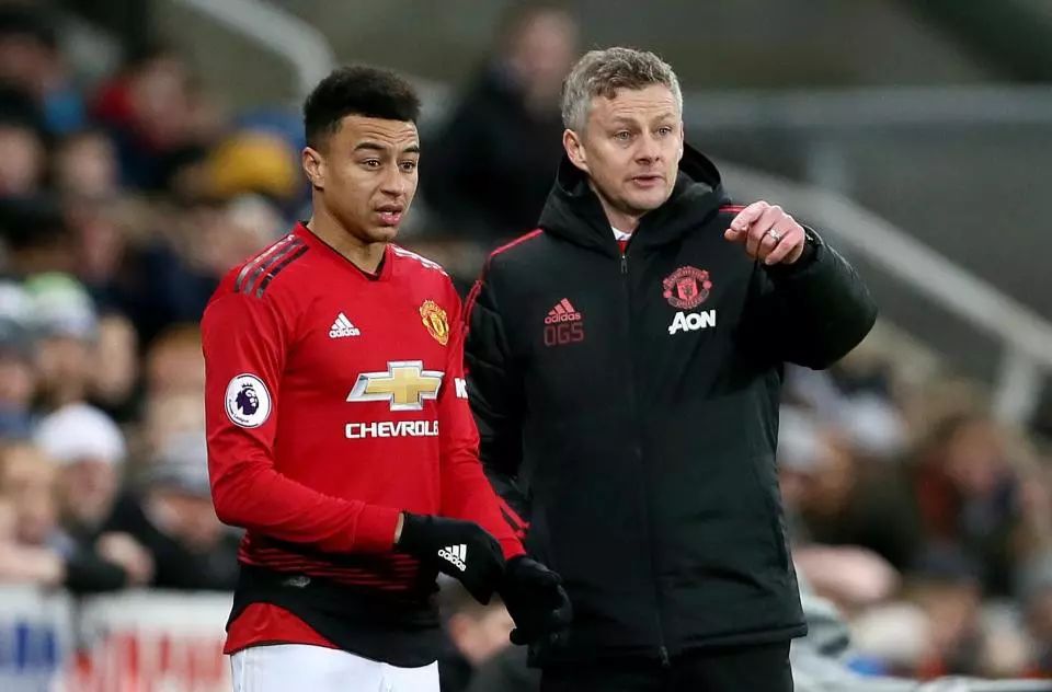 在国际赛场 在国际赛场