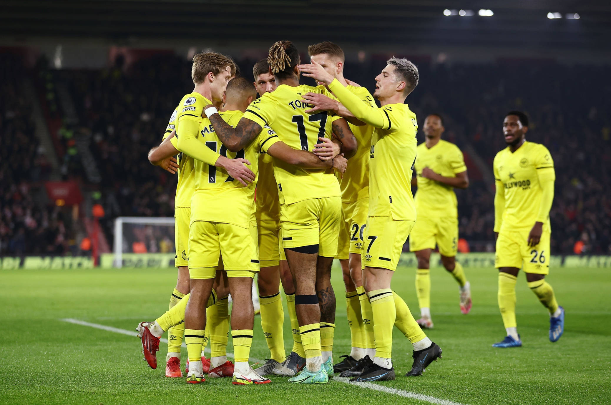 球迷欢呼 球迷欢呼